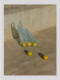 a plastic bag with lemons on it